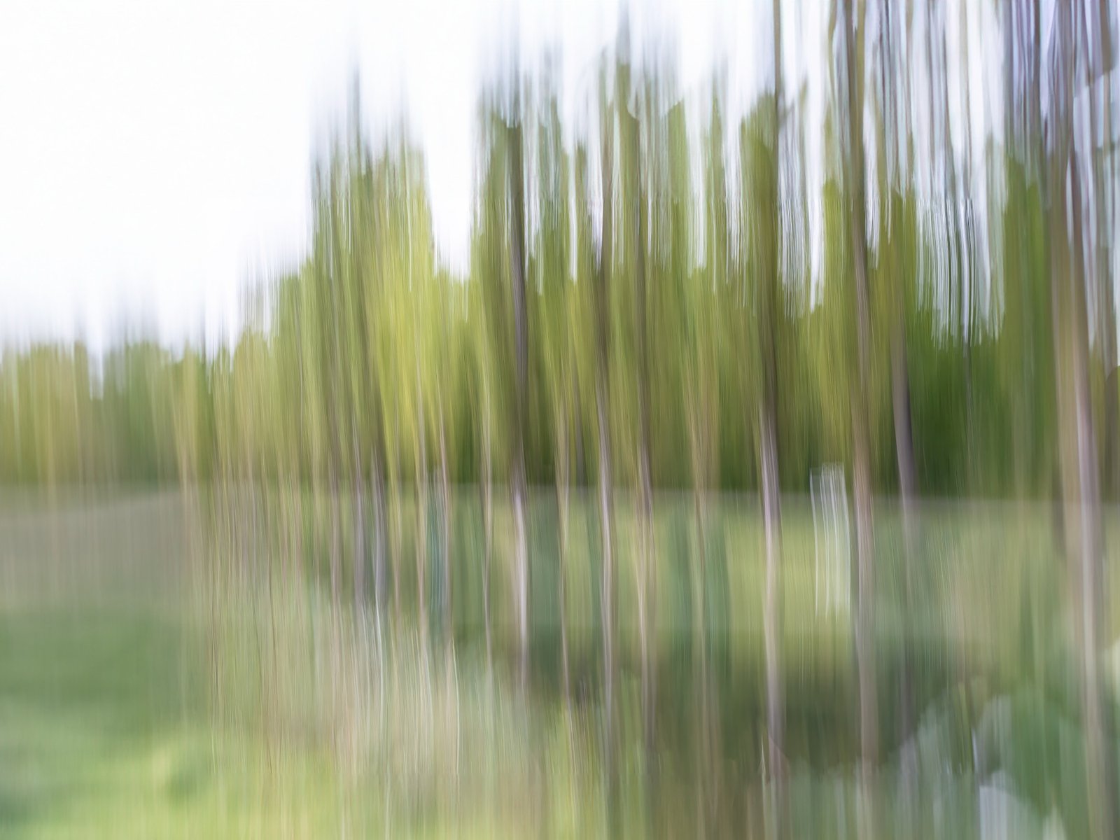 Beispielfoto