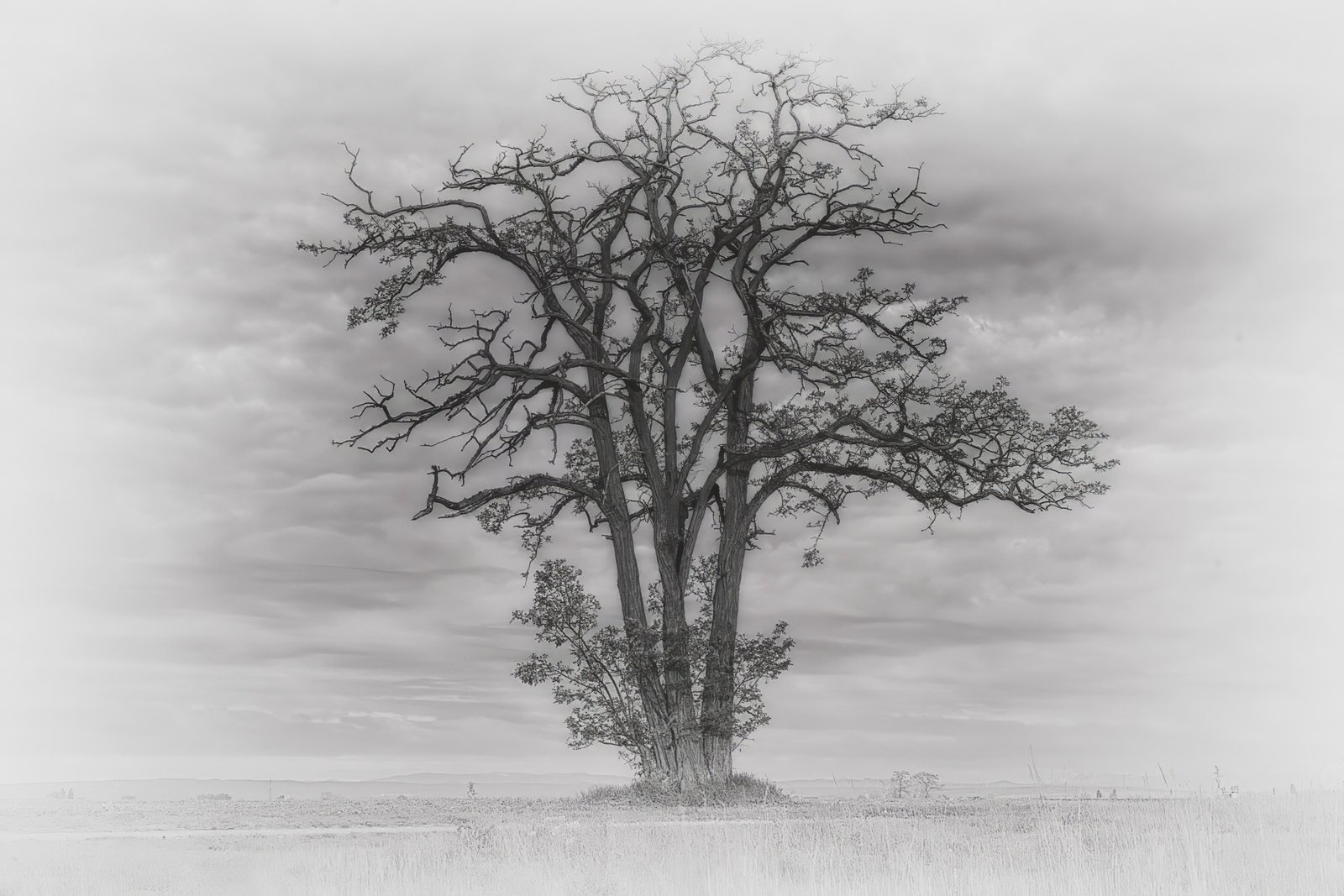 Beispielfoto