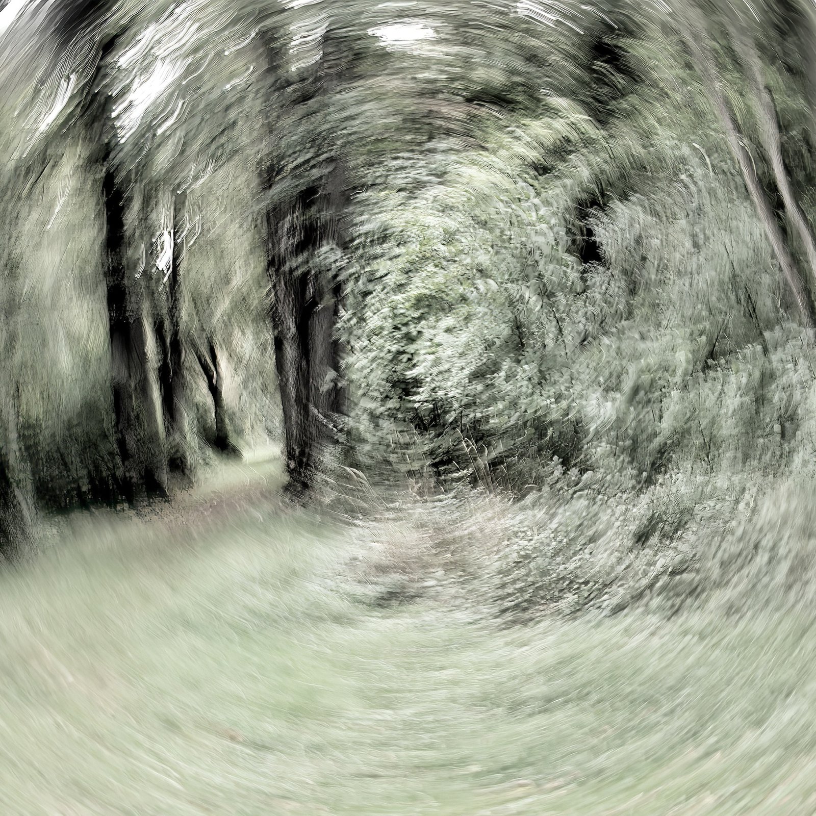 Beispielfoto
